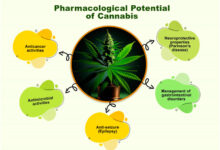 Cannabinoid Supply Chain