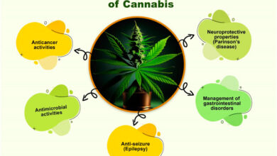 Cannabinoid Supply Chain