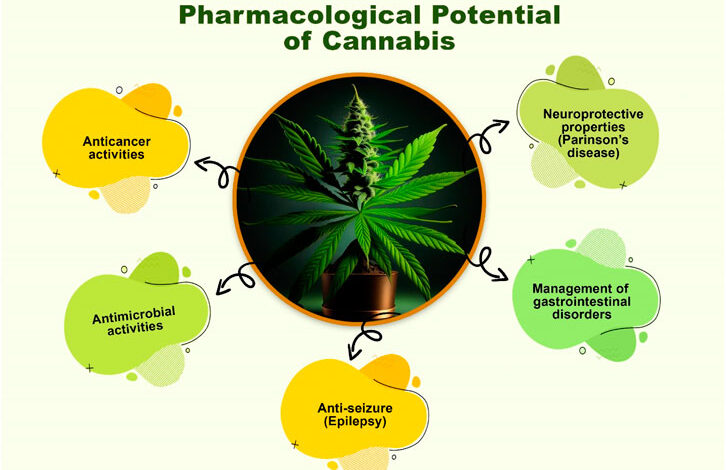Cannabinoid Supply Chain
